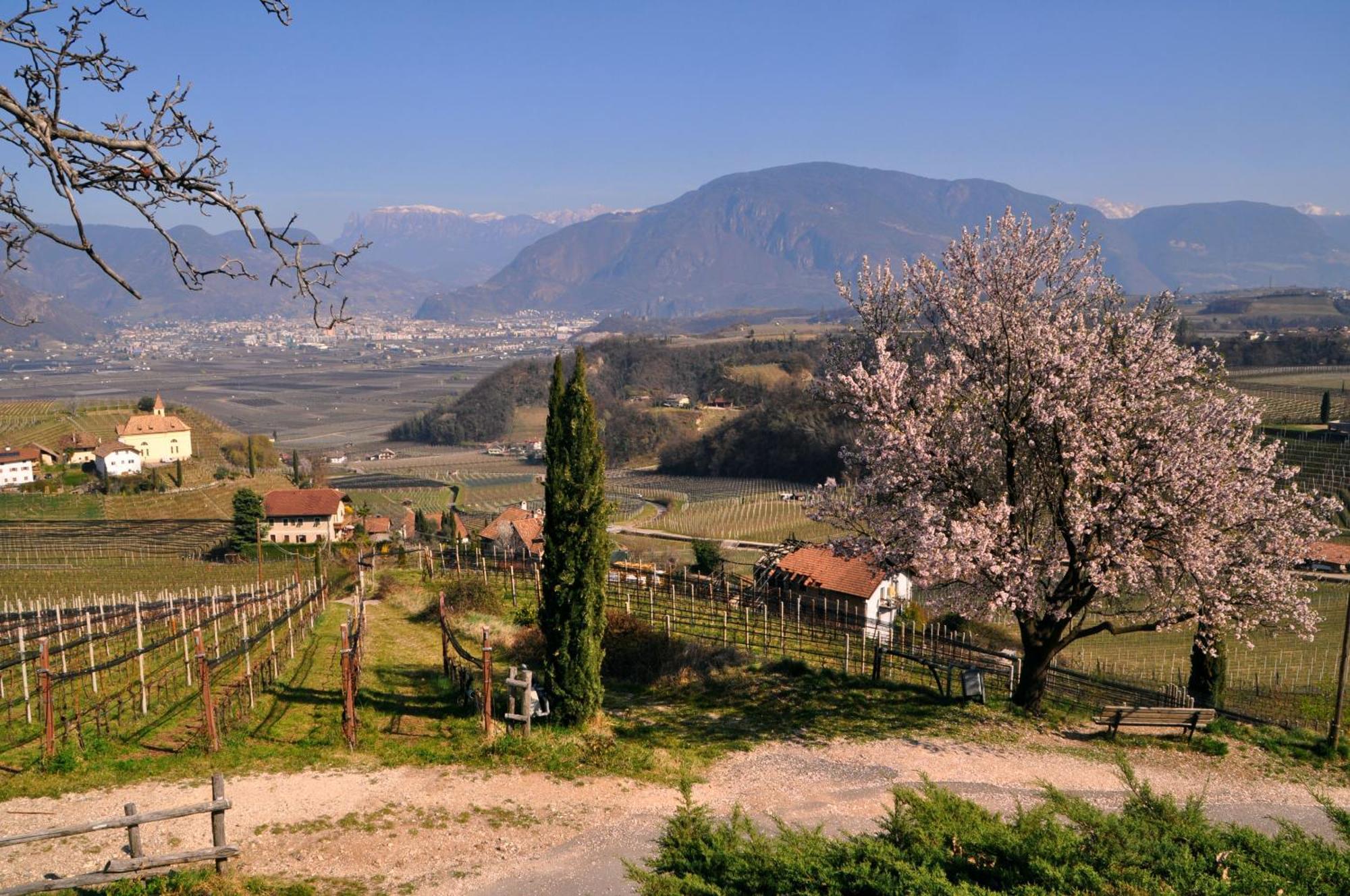 Firmelein Appartamento